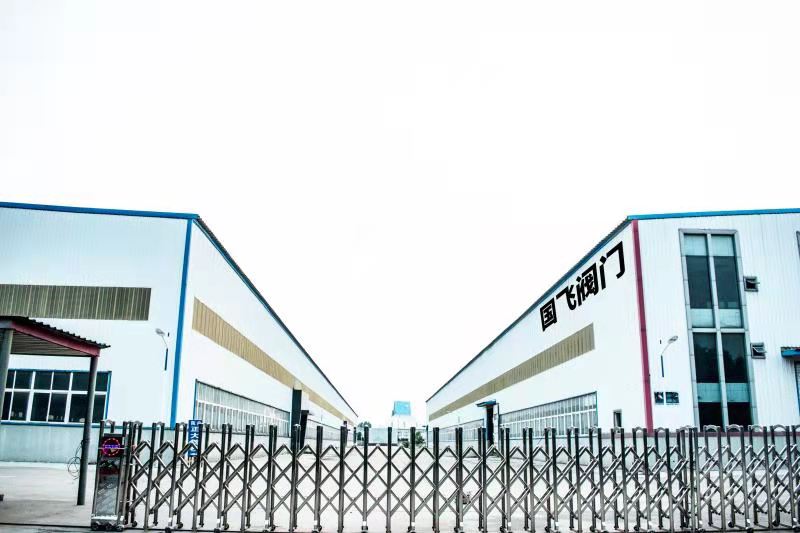 浙江國(guó)飛閥門科技有限公司